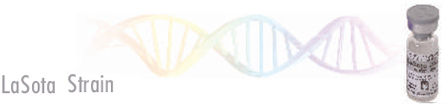LaSota Strain Vaccine