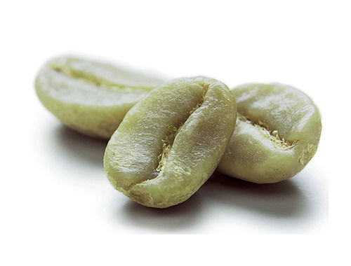 Green Coffee Seeds