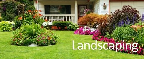 Garden Landscaping Services Additives: Food