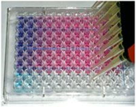 Medical Diagnostic-Assays