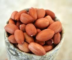 Java Peanut