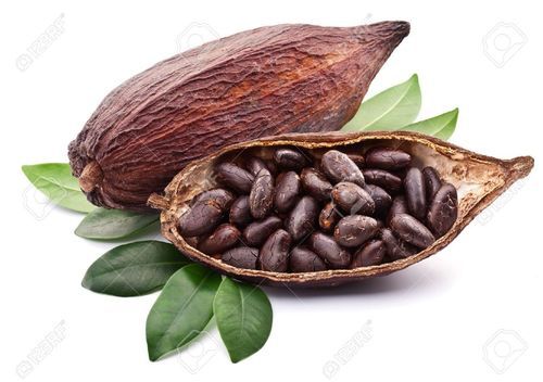 Raw Cacao (Cocoa Beans)