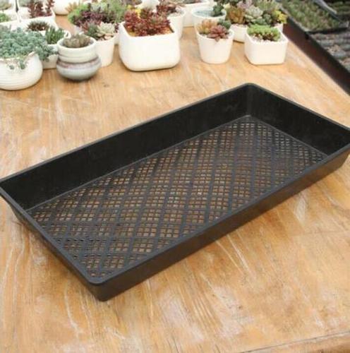 Hydroponic Trays With Holes Or Without Holes