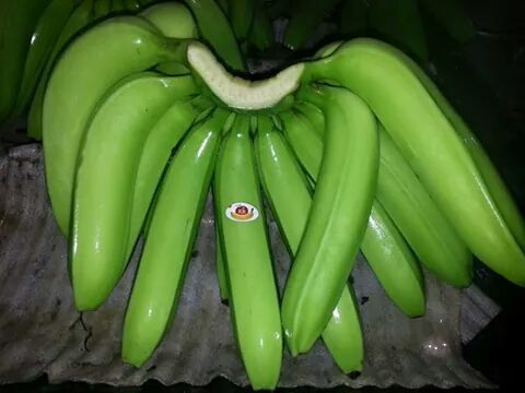 Top Quality Fresh Banana