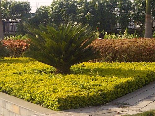 Garden Landscaping Service - Expertly Designed Solutions | Timely Execution, Client-Centric Approach, Affordable Rates