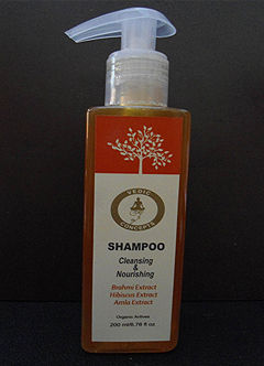 Antidandruff Natural Shampoos