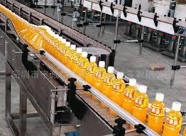 Bottle Conveyor