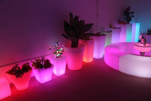 LED Bonsai Pots Light