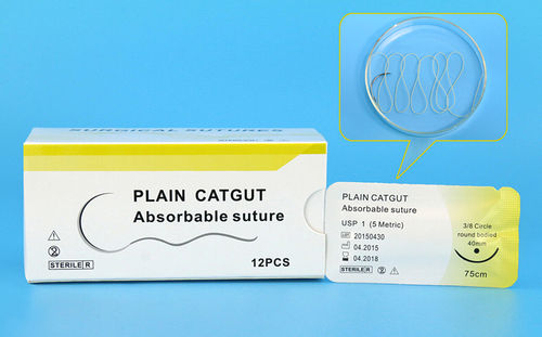 Plan Catgut Absorbable Suture