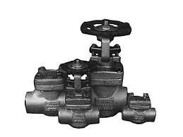 Heavy Duty Forged Stainless Steel Valves