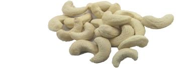 Organic Cashew