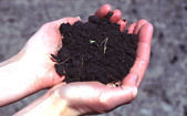 Bio-Compost - Soil Meals (Organic Manure)