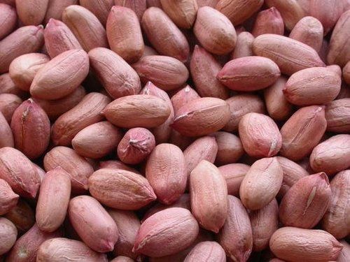 Indian Bold Peanuts