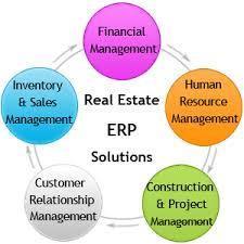 Real Estate Software Development Service