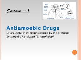 Antiamoebic Drugs