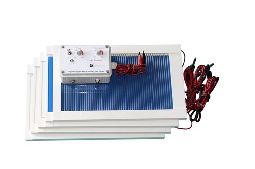 Bee Vee Collector - Work Bee