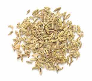 Fresh Natural Anise Seeds