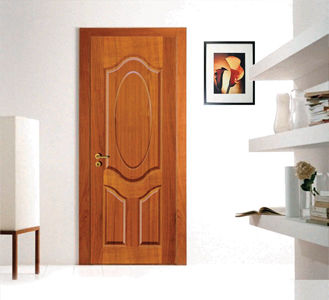 Attractive Door Skins