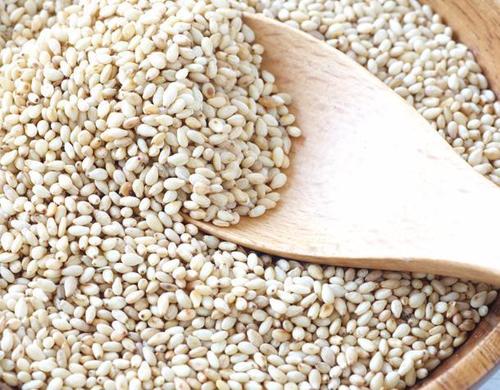 Sesame Oil Seeds