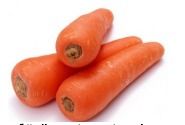 Carrot