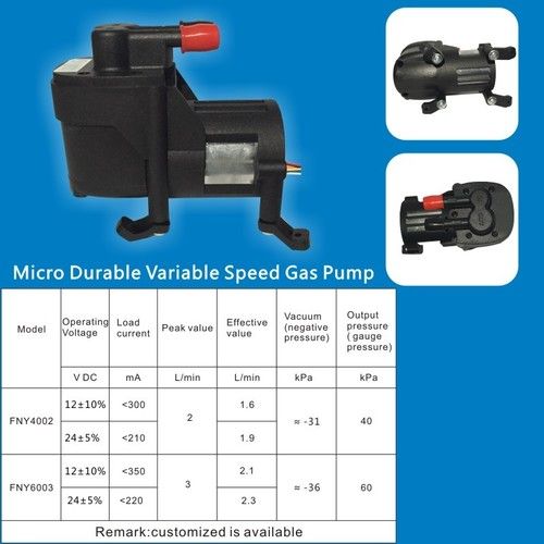 Micro Durable Variable Speed Gas Pump FNY