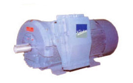 AC Motors (Low Voltage Motors Spectrum Series)