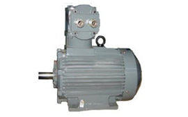 AC Motors Low Voltage Motors (Flame Proof Series)