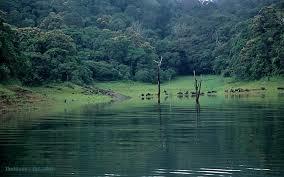 6 N 7 Days Kerala Tour Package Service