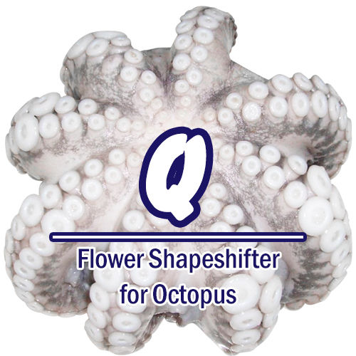 Octopus Flower Shapeshifter