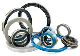 Oil Seal - Premium Quality Raw Material Advanced Manufacturing Techniques Strictly Analyzed by Skilled Professionals