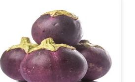 Brinjal