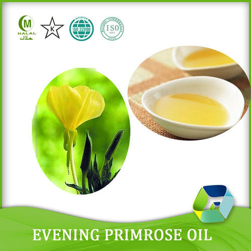 Plant Extract Evening Primrose Oil
