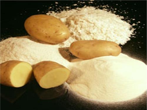 Potato Powder