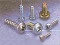 Mixed Color Pt Screws