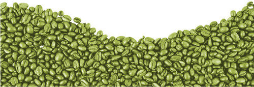  Green Coffee Bean