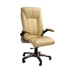 Hi Back Revolving Executive Office Chairs