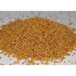 Finest Grade Niger Seed