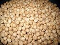 Pure Kabuli Chickpeas