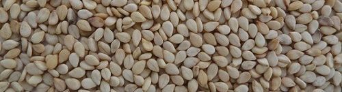 Natural / Hulled / Black Sesame Seeds