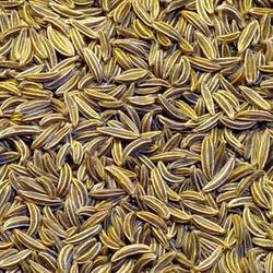 Cumin Seeds