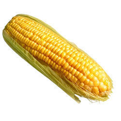 Raw Maize