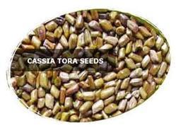 Cassia Obtusifalia Seeds