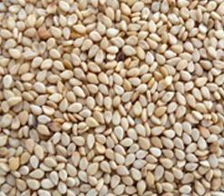 Hulled Sesame Seeds