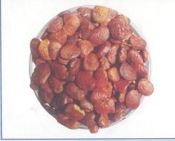 Pongamia Seed 