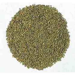 Pure Green Pearl Millet