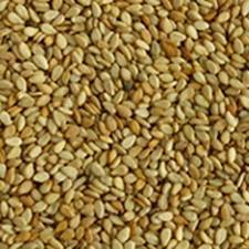 White Pure Sesame Seeds