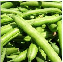 Green Beans