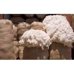 Cotton Bundle