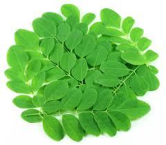 Moringa Leaf Powder - 100% Natural Organic Nutrient-Rich Supplement, No Side Effects, Very Effective