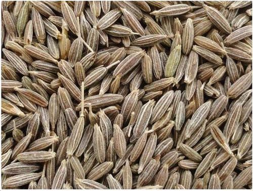 Cumin Seeds